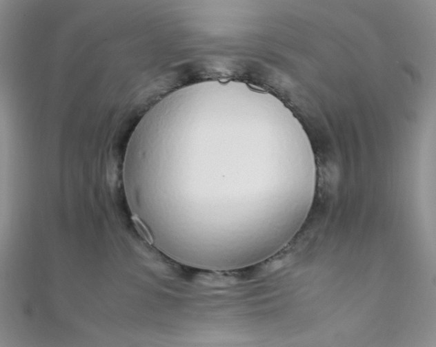 X0000108480331200904171616