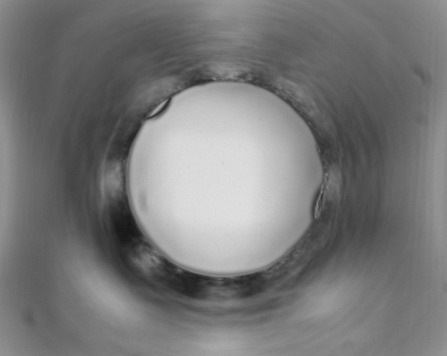 X0000108480335200904171616