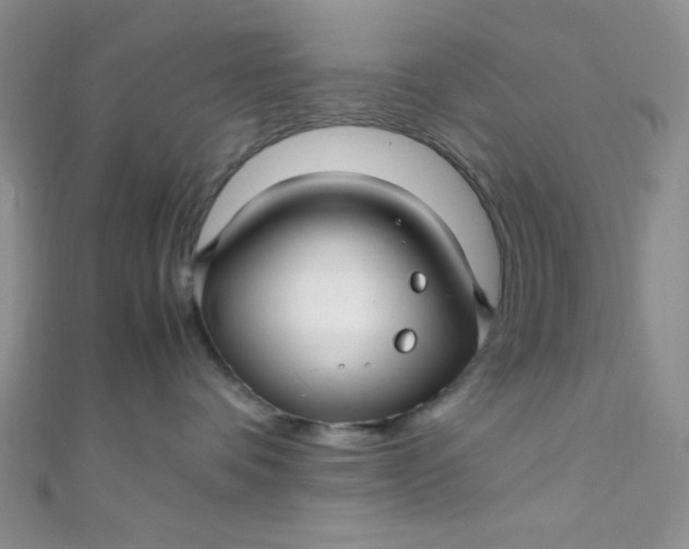 X0000108480336200904171616