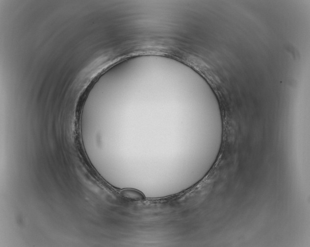 X0000108480338200904171615