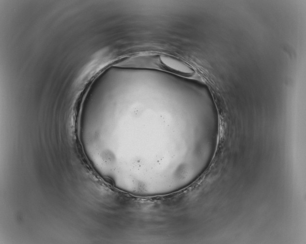 X0000108480339200904171615