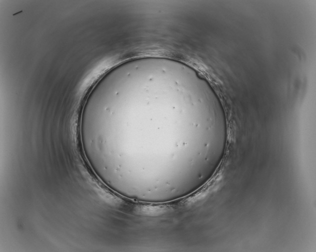 X0000108480341200904171616