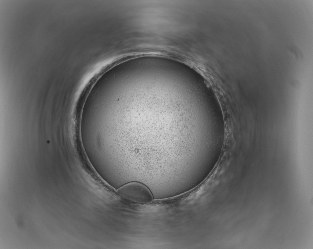 X0000108480342200904171616