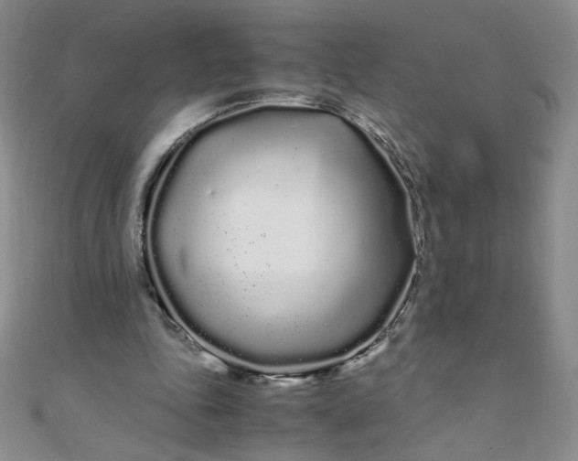 X0000108480343200904171616