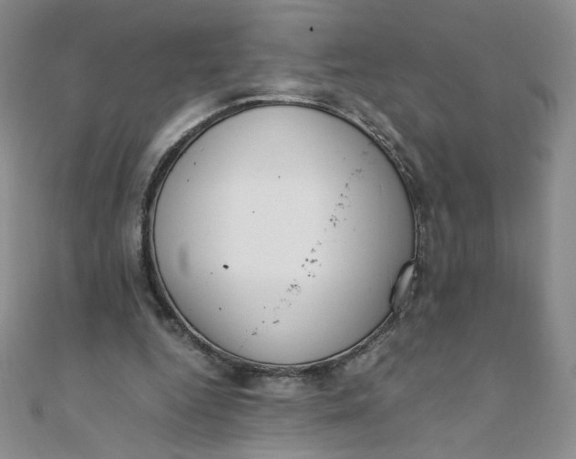 X0000108480344200904171616