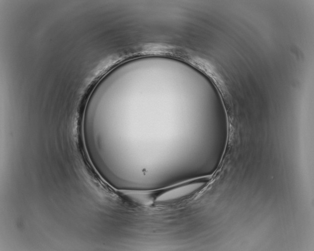 X0000108480346200904171616