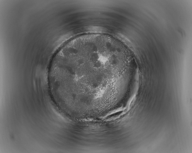 X0000108480347200904171616