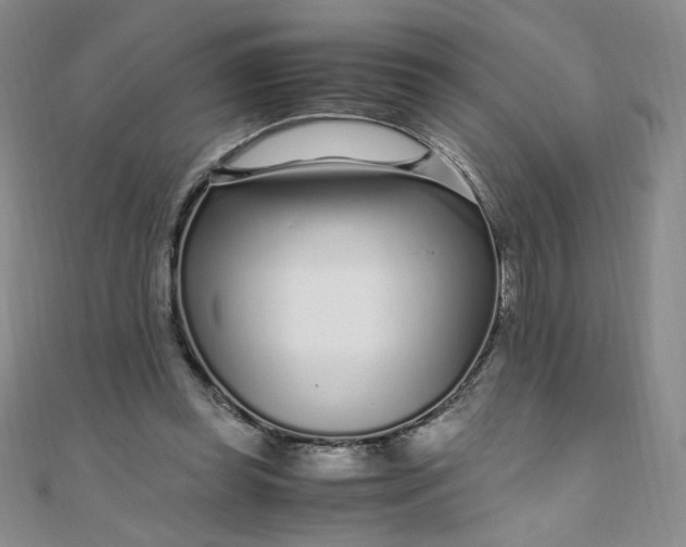 X0000108480349200904171616