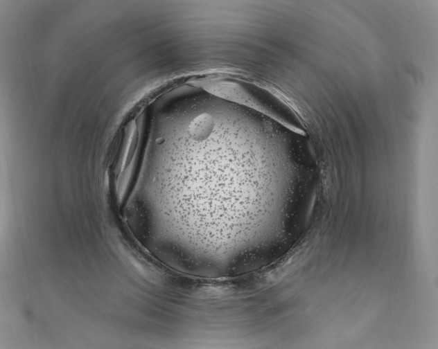 X0000108480350200904171616