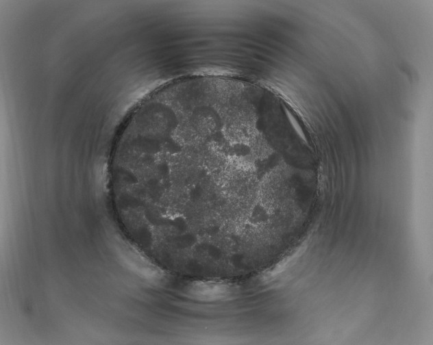 X0000108480351200904171616