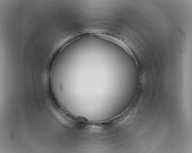 X0000108480352200904171616