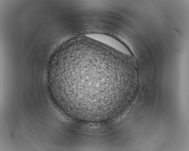 X0000108480353200904171616
