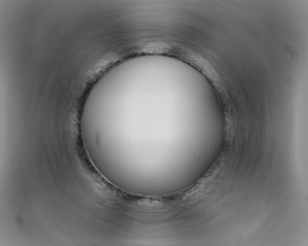 X0000108480354200904171616