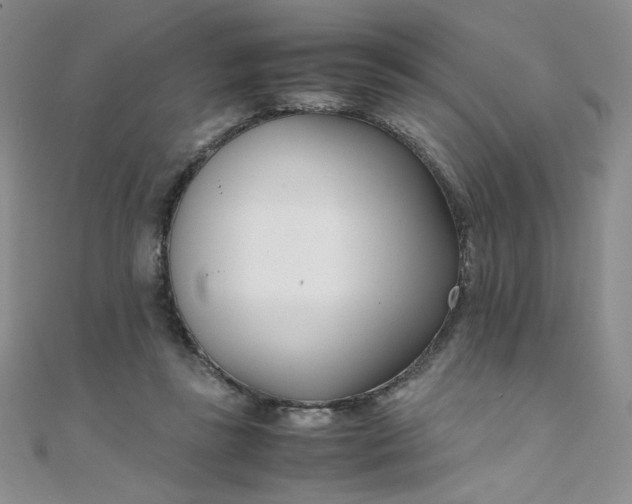 X0000108480355200904171616