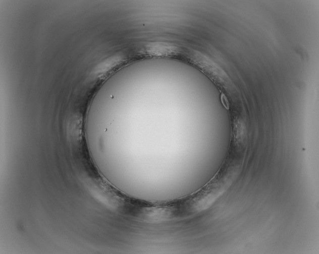 X0000108480356200904171616