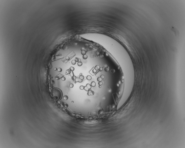X0000108480357200904171616