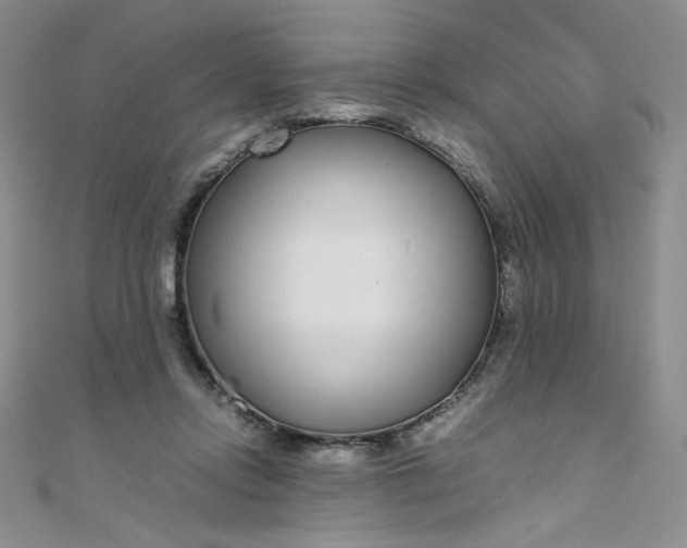 X0000108480358200904171616