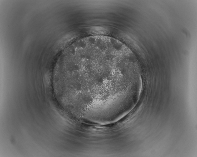 X0000108480359200904171616