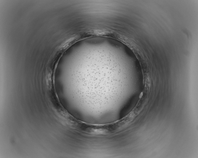 X0000108480360200904171616