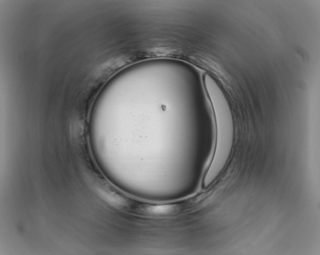 X0000108480365200904171616