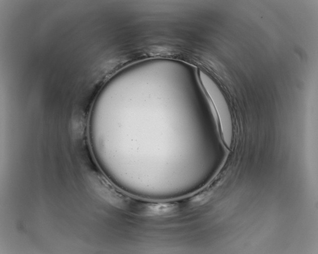 X0000108480367200904171616