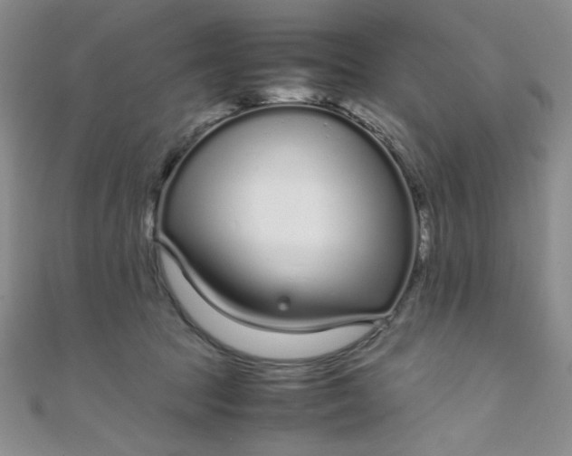 X0000108480369200904171616
