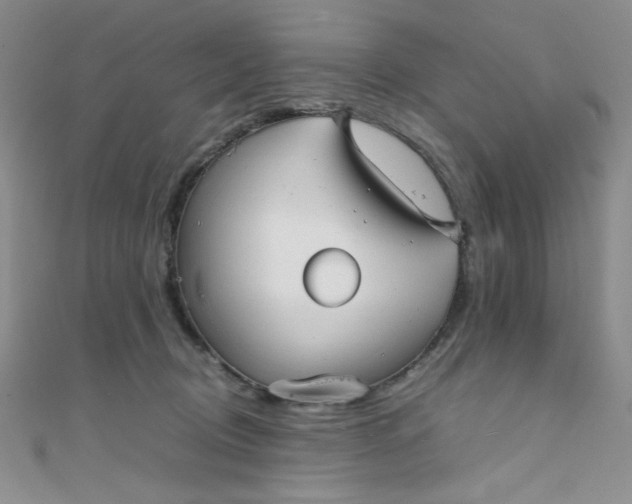 X0000108480370200904171616
