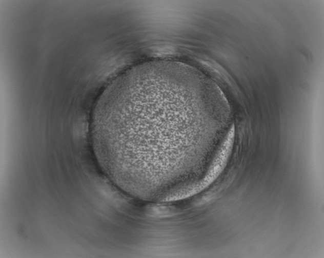 X0000108480372200904171616