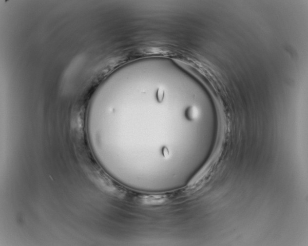 X0000108480373200904171616