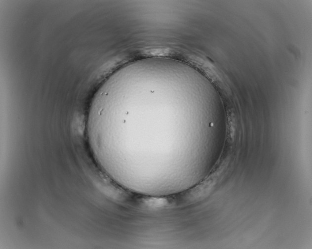 X0000108480374200904171616