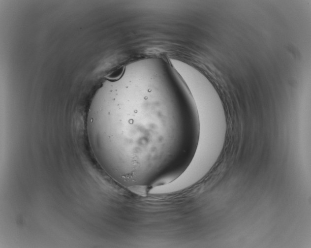 X0000108480375200904171616