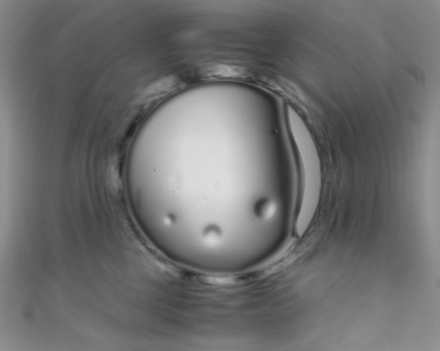 X0000108480377200904171616