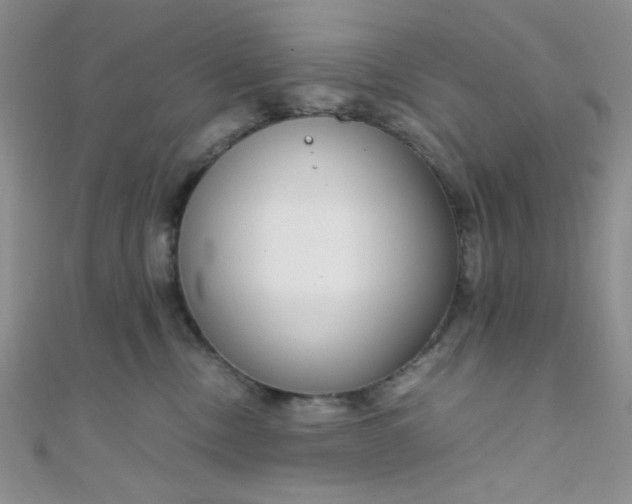 X0000108480378200904171616