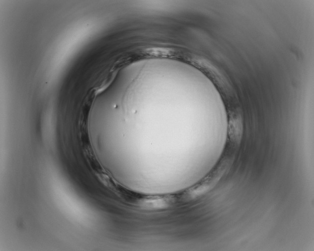 X0000108480381200904171616