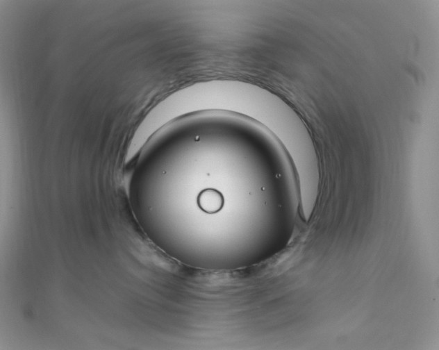 X0000108480384200904171616