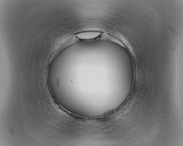 X0000108480385200904171615