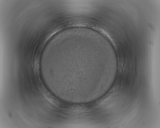 X0000108480386200904171615