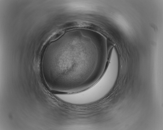 X0000108480387200904171615