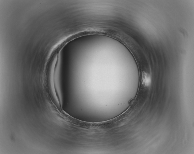 X0000108480388200904171615