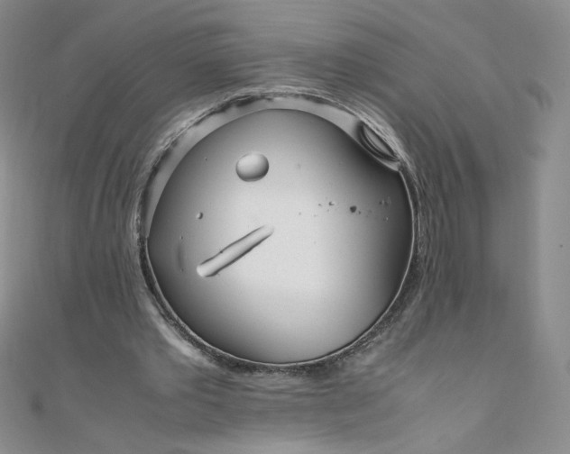 X0000108480389200904171615