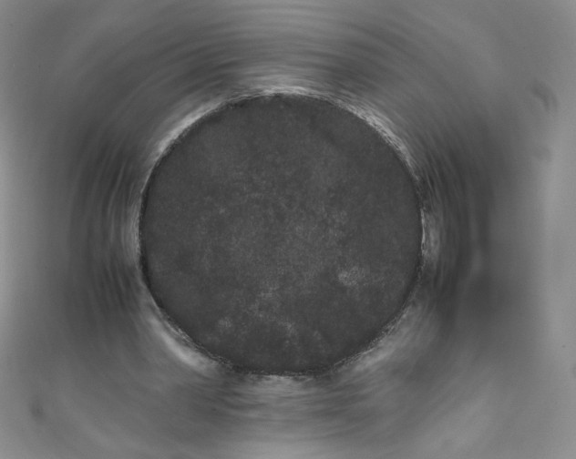 X0000108480390200904171615