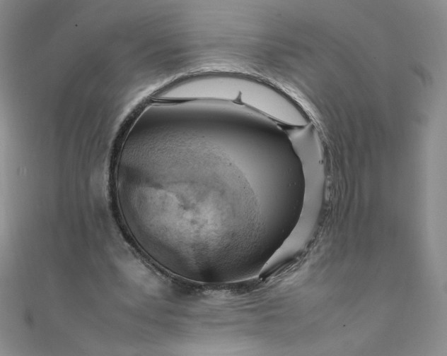 X0000108480391200904171615