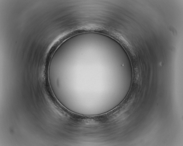 X0000108480392200904171615