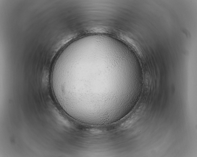 X0000108480394200904171615