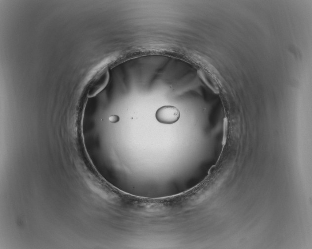 X0000108480395200904171615