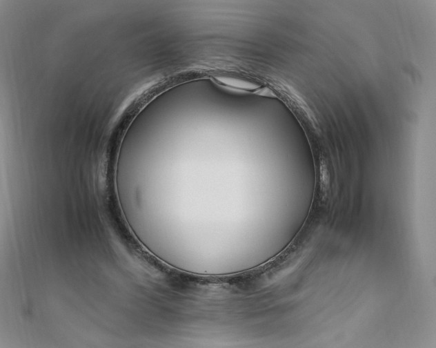 X0000108480396200904171615