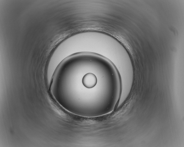 X0000108480397200904171615