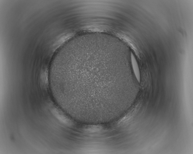 X0000108480398200904171615