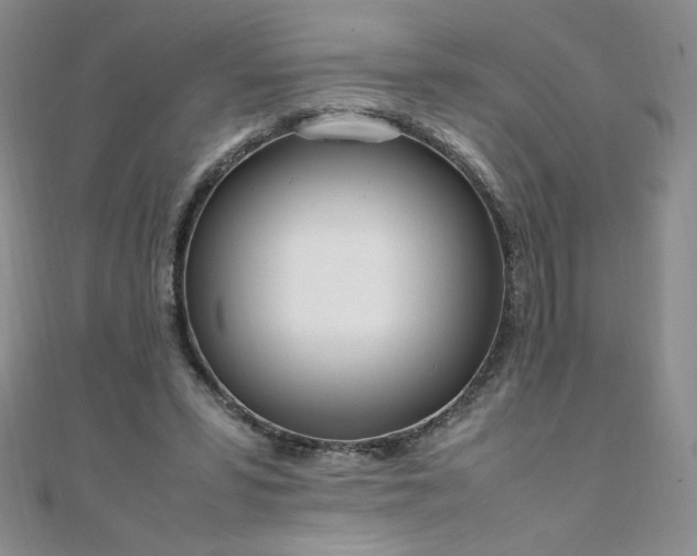 X0000108480399200904171615