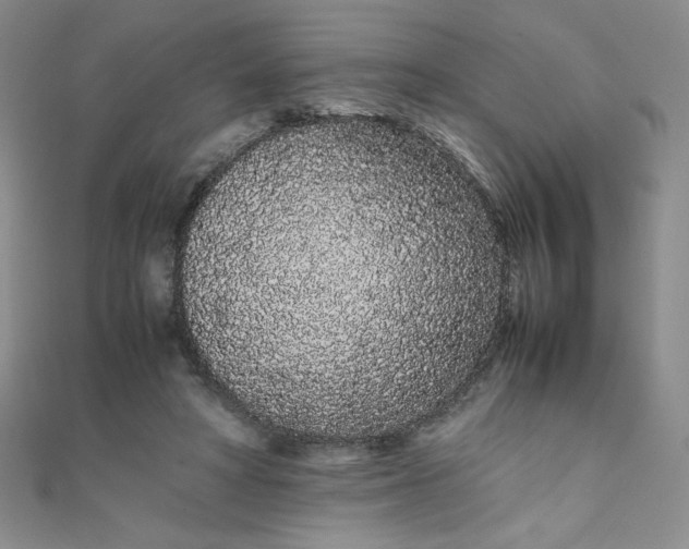 X0000108480402200904171615